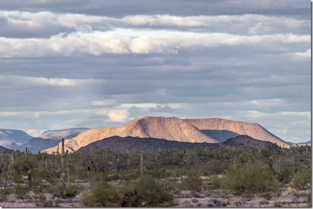 Saguaro desert light clouds King Rd BLM Kofa AZ