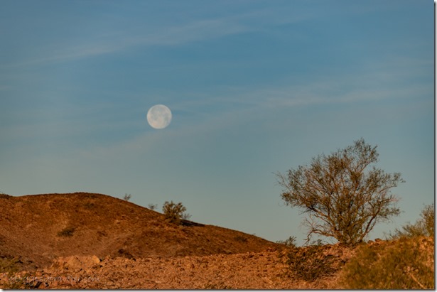 desert full moon set Mohawk Mts BLM Owl AZ