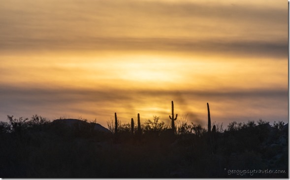 cactus sunset clouds Darby Well Rd BLM Ajo AZ
