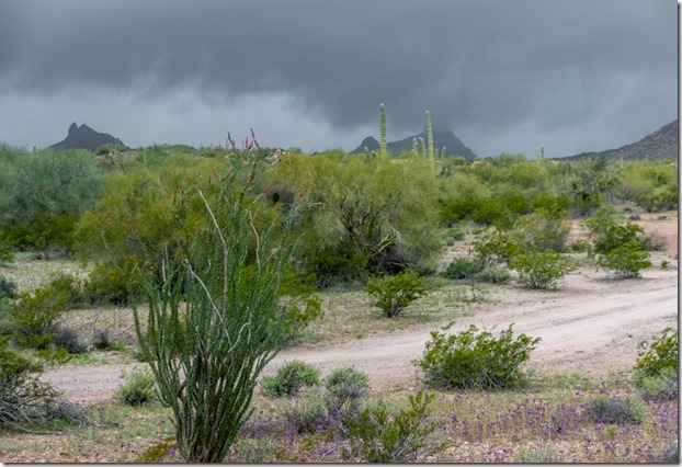 desert mts storm clouds Darby Well Rd BLM Ajo AZ