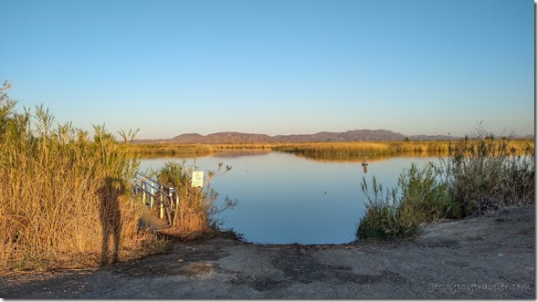 Gaelyn shadow on reeds Mittry Lake Yuma AZ