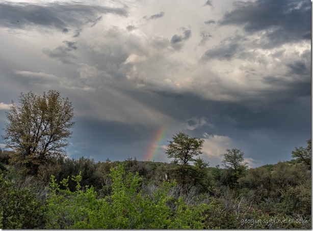trees rainbow clouds Skull Valley AZ