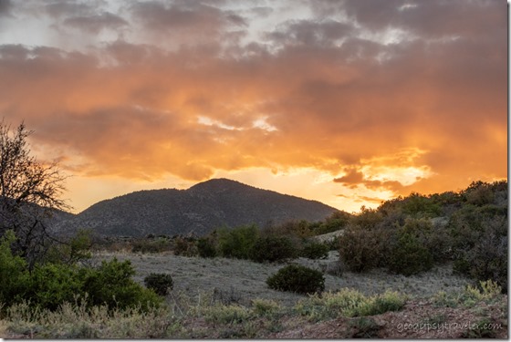 trees sunset clouds Skull Valley AZ