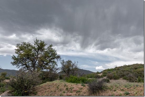 trees Weaver Mts W storm clouds Skull Valley AZ