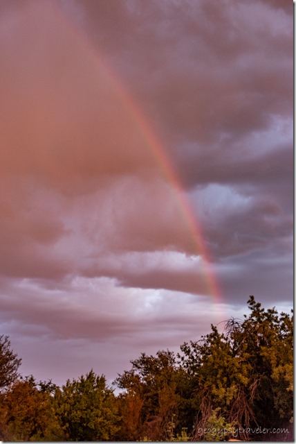 trees rainbow storm clouds Skull Valley AZ