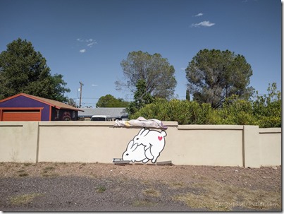 peekaboo bunny humping Bisbee AZ