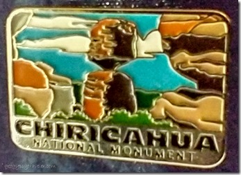 Chiricahua hat pin