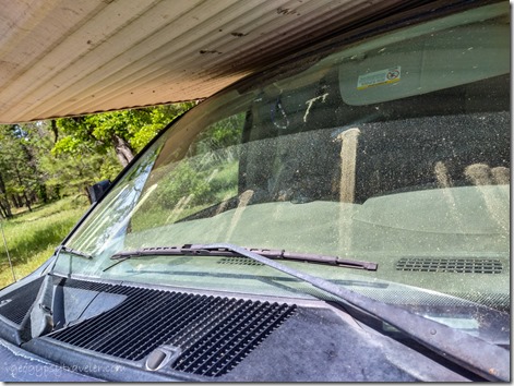 pine pollen on windshield S Kaibab NF AZ