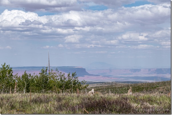 view E Marble Plateau Vermilion Cliffs Navajo Mt Kaibab NF AZ