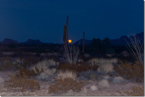 11 DSC_0098lewr desert moon Kofa Mts Palm Canyon Rd BLM camp AZ