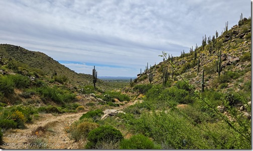 town view Congress mine AZ