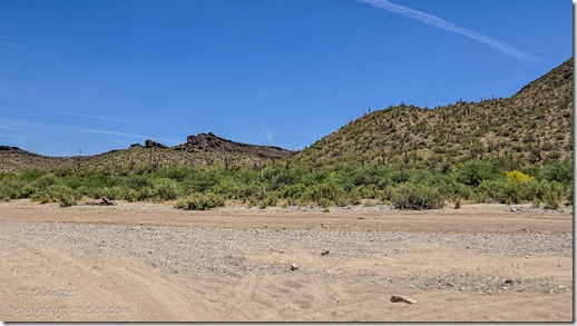 side-by-side ride Hassayampa R Wickenburg AZ