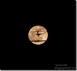 full moon rise Dewey AZ