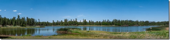 04 DSC_2061alewfbr White Horse Lake Kaibab NF AZ fb